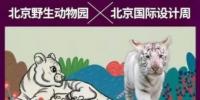 [数字货币如何支付美团]终于明白了：哪种数字货